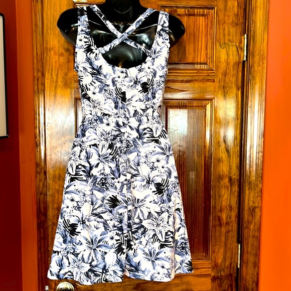 NWOT Blue & White Floral Sundress - Picture 3 of 8
